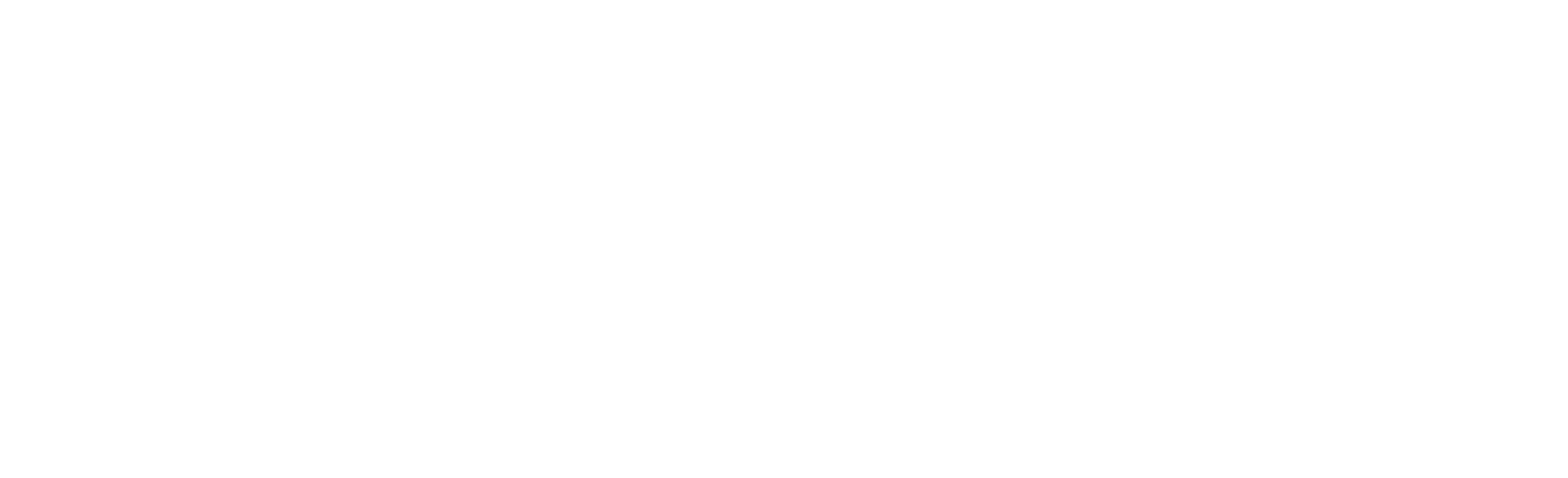 CheckSure home